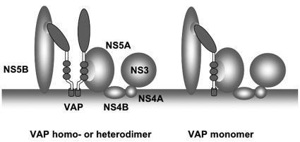 FIG. 7.