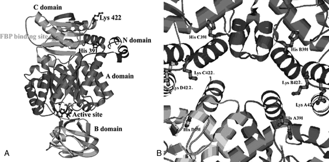 FIGURE 1.