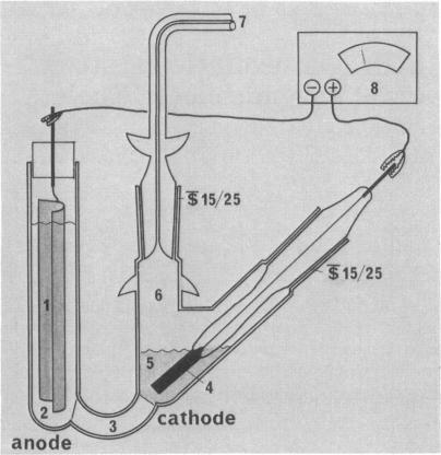 graphic file with name pnas00039-0010-a.jpg