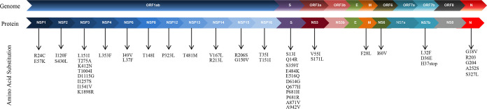 FIG 1