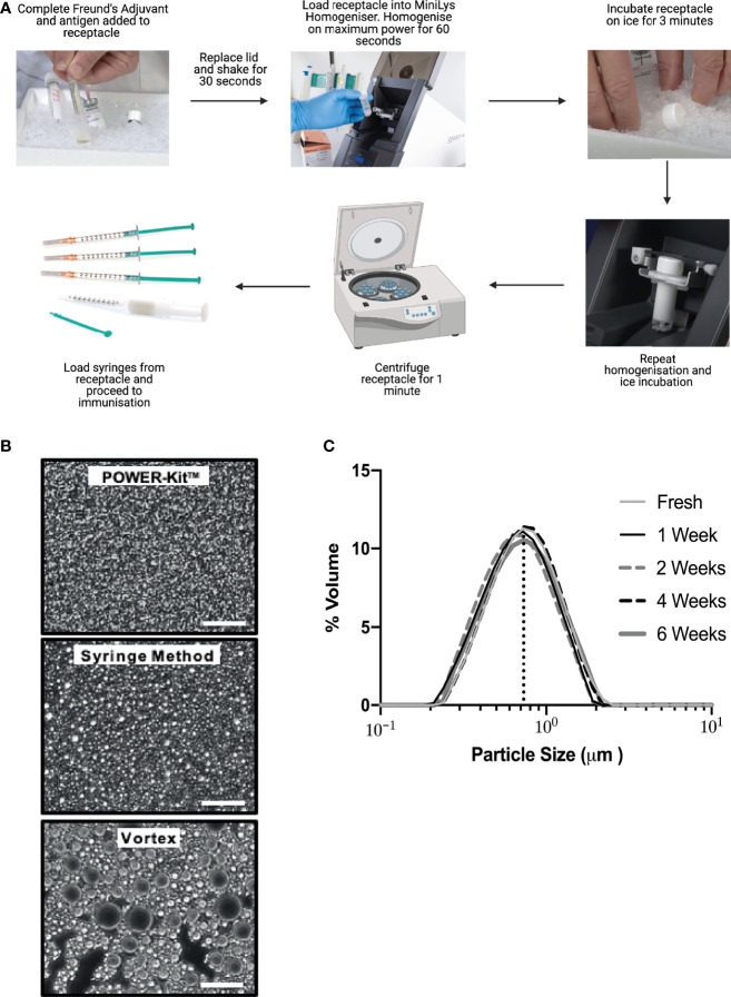 Figure 1