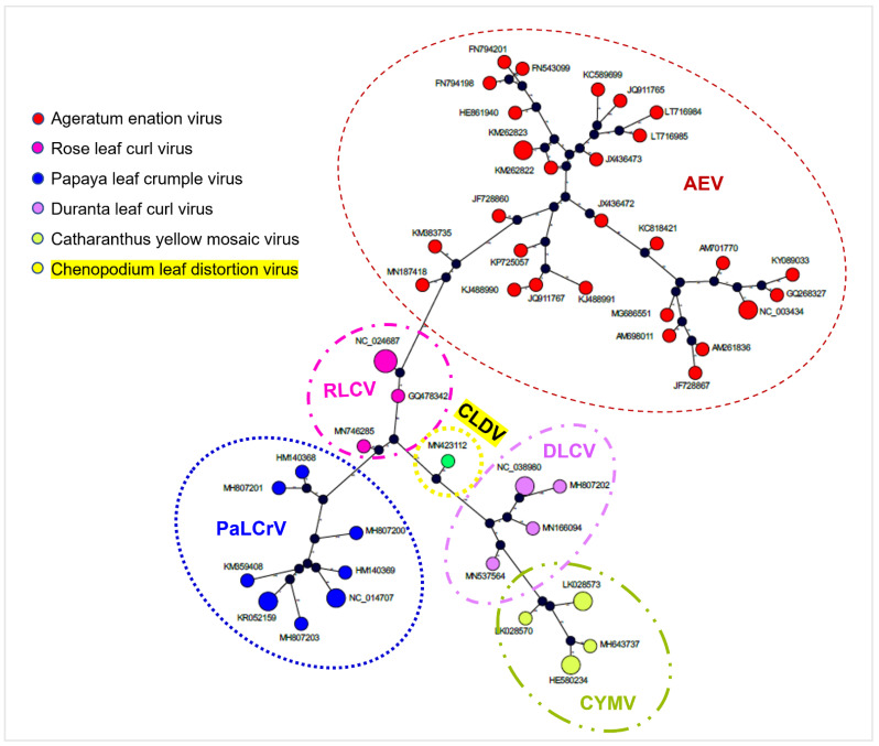 Figure 7