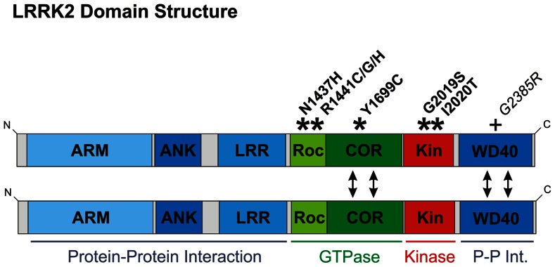 FIGURE 1