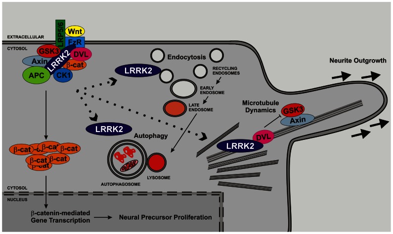 FIGURE 2