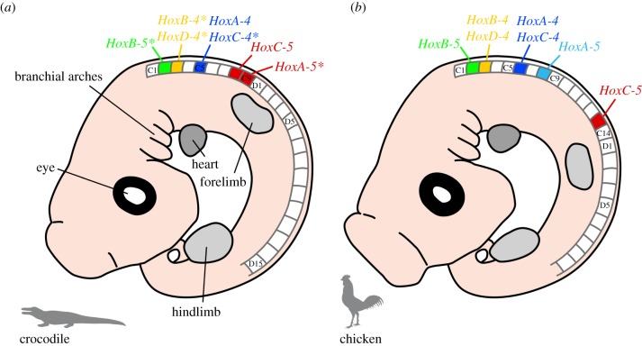 Figure 5.