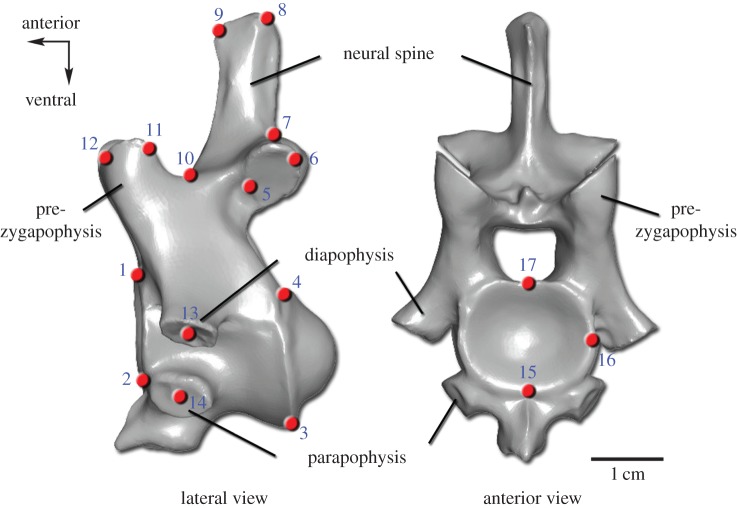 Figure 1.