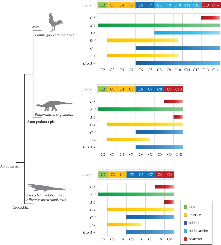 Figure 6.