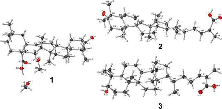 Figure 2