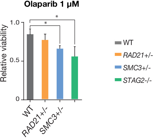 Figure 3—figure supplement 2.