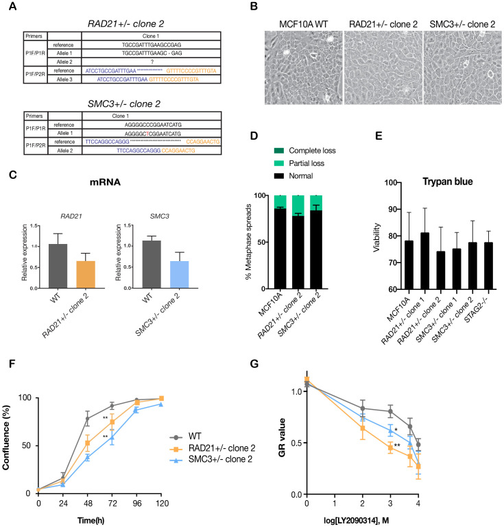 Figure 3—figure supplement 3.