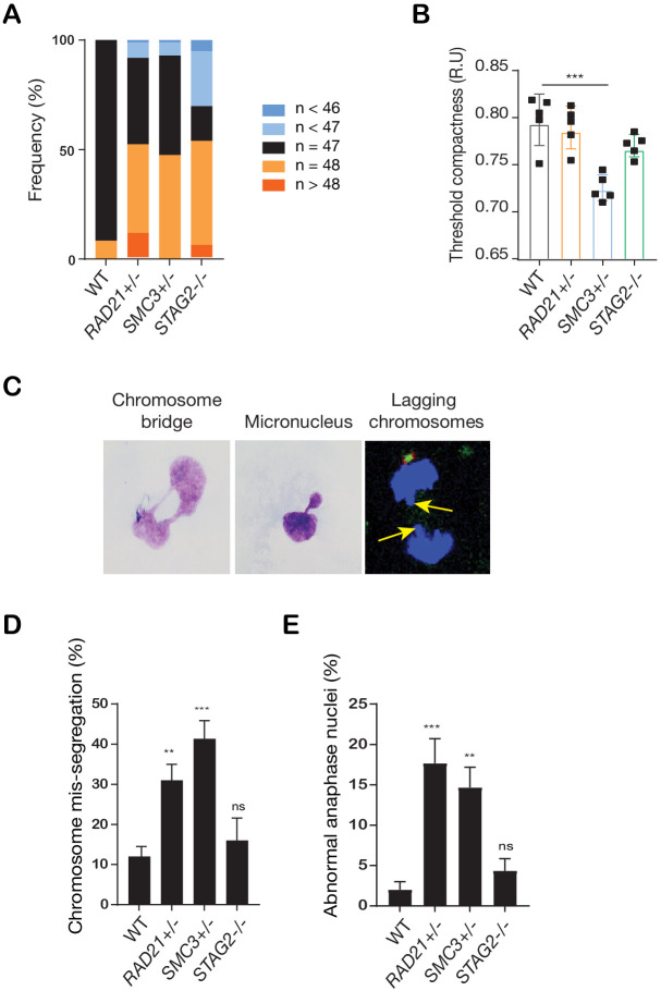 Figure 2—figure supplement 1.