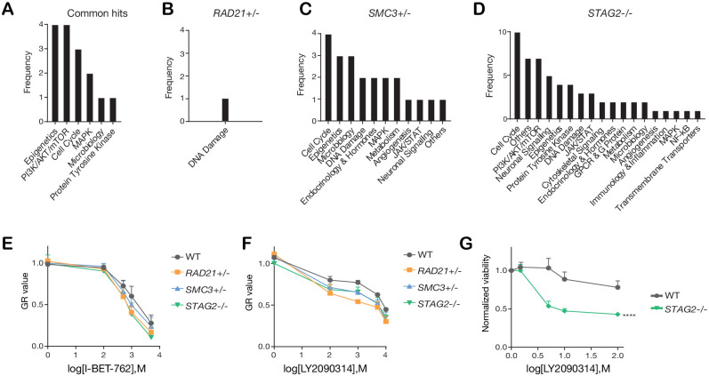 Figure 4—figure supplement 2.