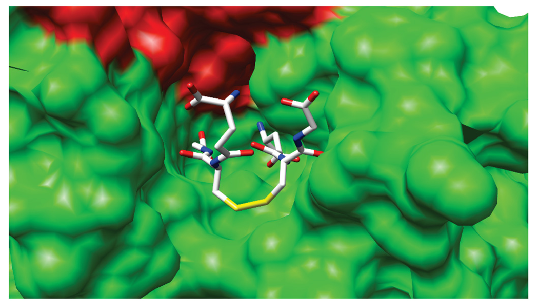 FIGURE 4