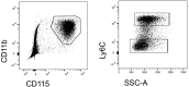 Figure 6—figure supplement 1.