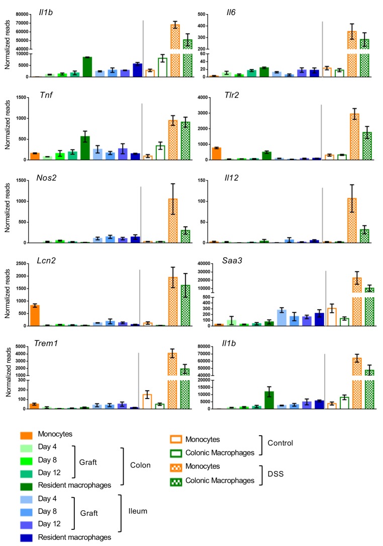 Figure 1—figure supplement 4.