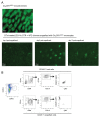 Figure 1—figure supplement 2.