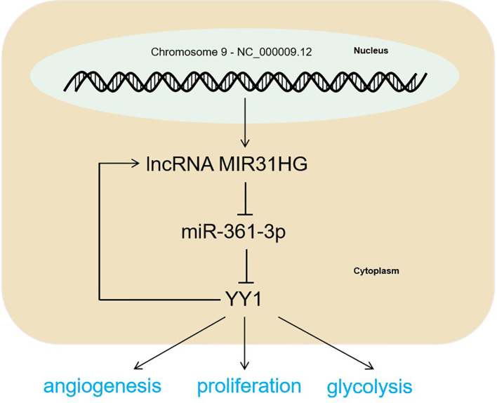 Figure 9