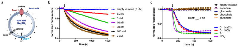 Extended Data Figure 5