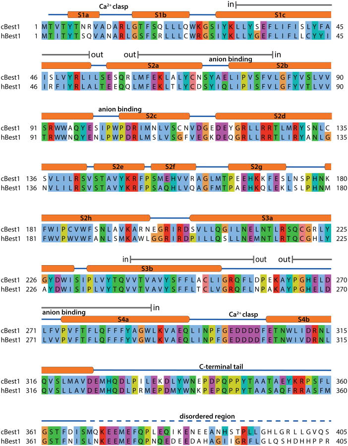 Extended Data Figure 1