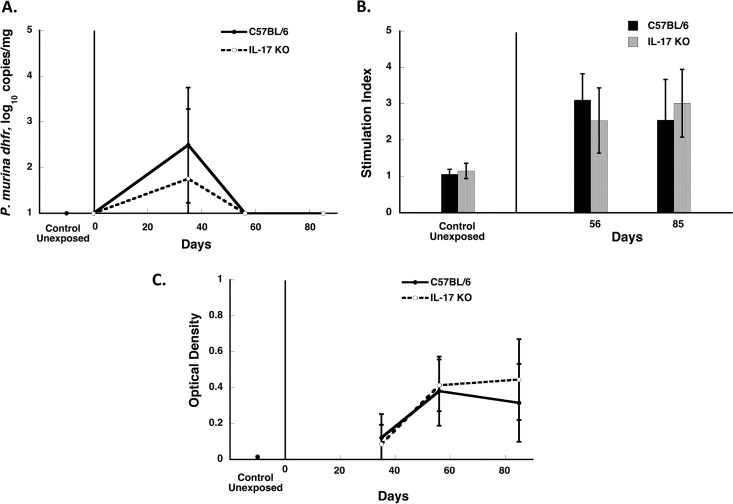 FIG 6