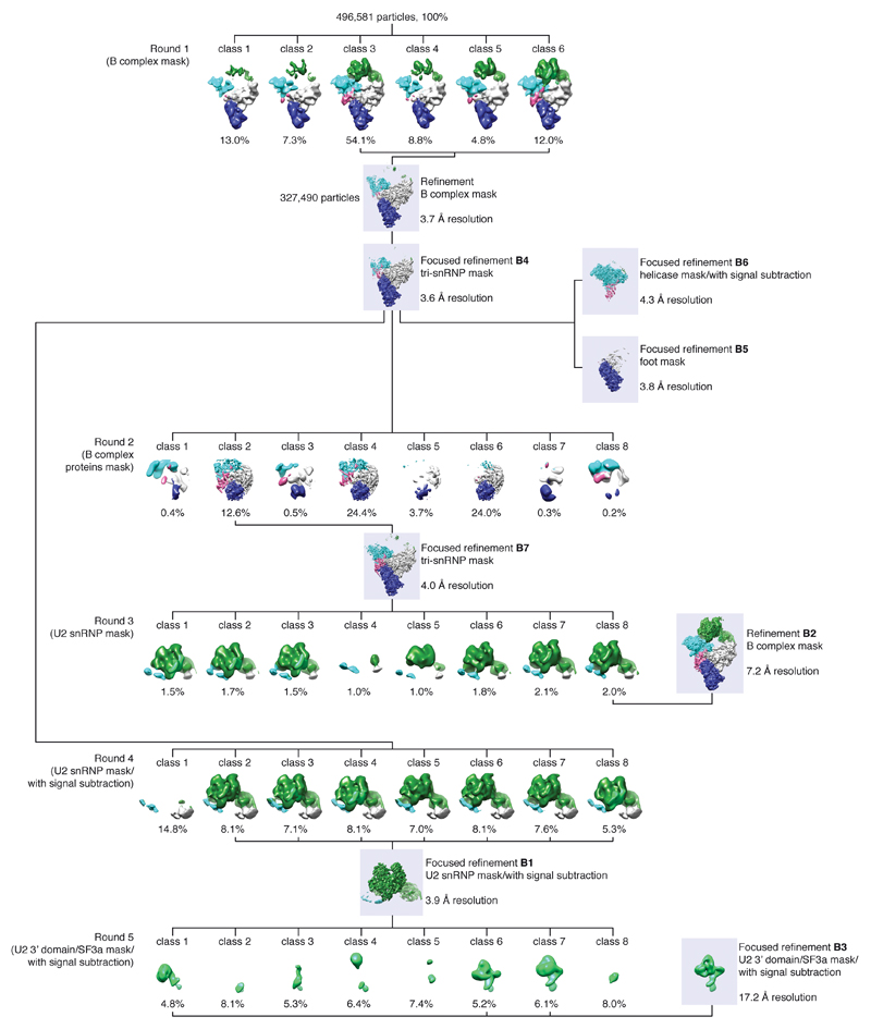 Extended Data Figure 2