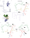 Extended Data Figure 7