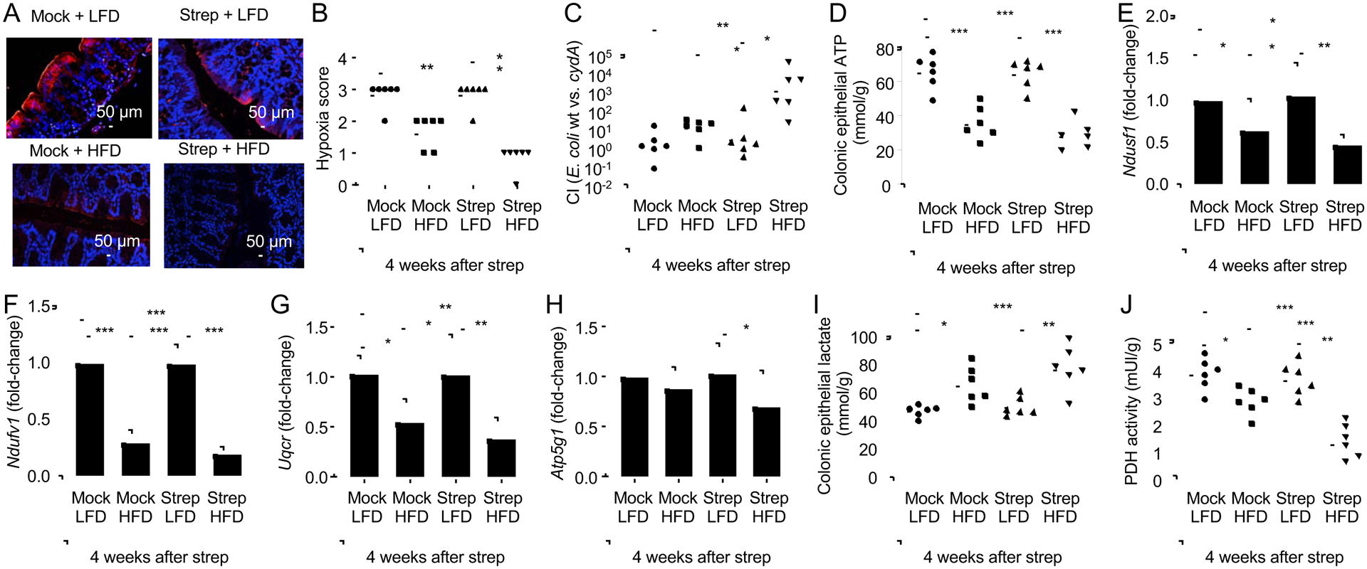 Figure 4: