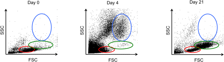 Fig. 2