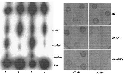 FIG. 2.