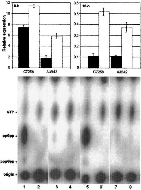 FIG. 5.