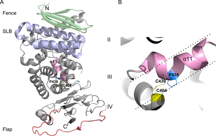 FIG 2