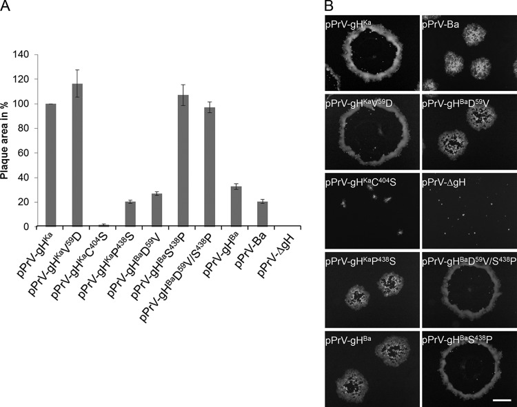 FIG 6