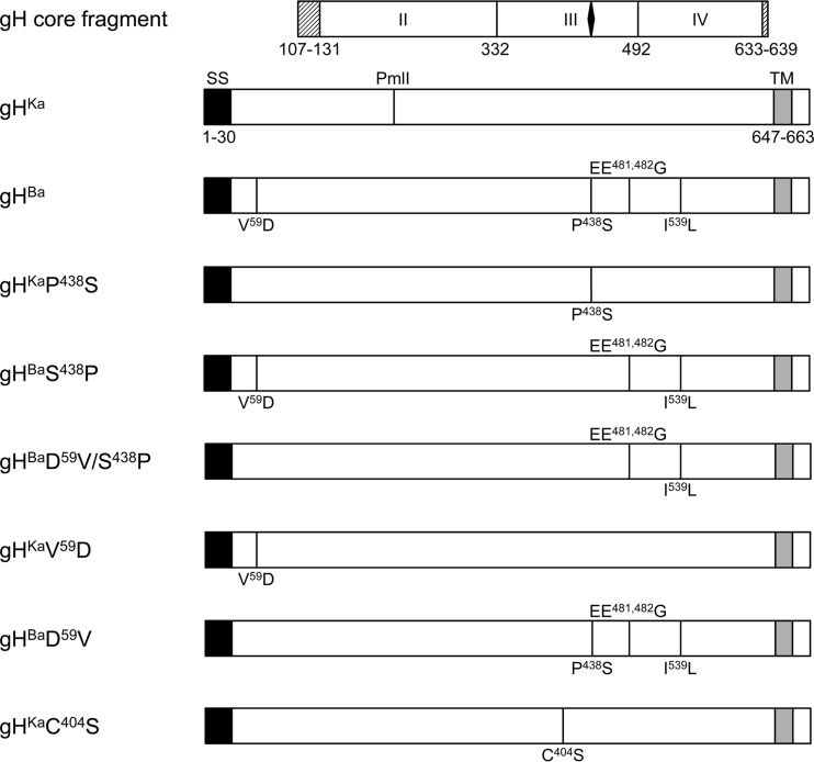 FIG 1