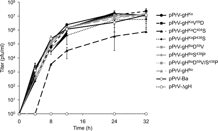 FIG 5