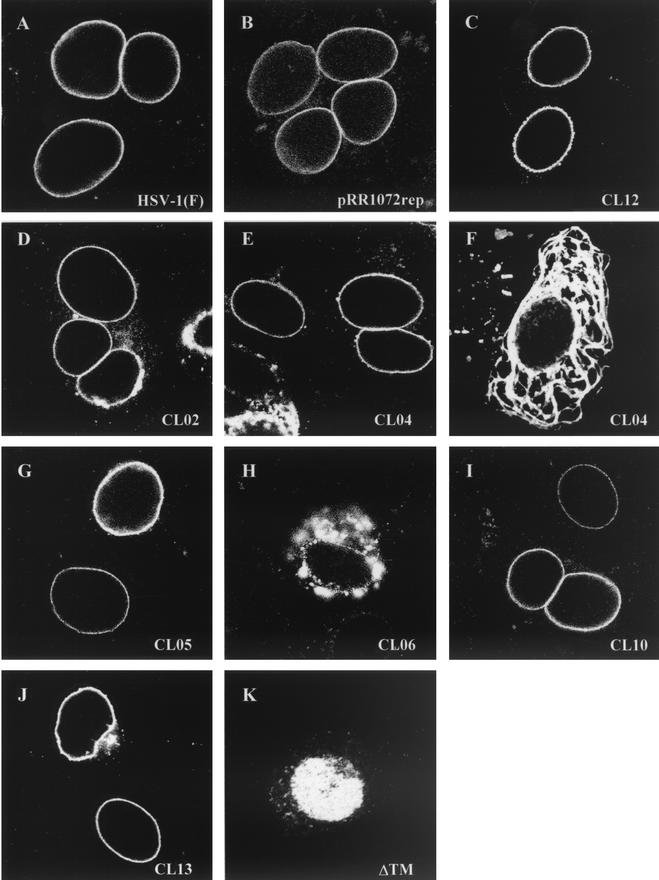 FIG.4.