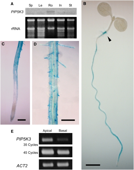 Figure 1.