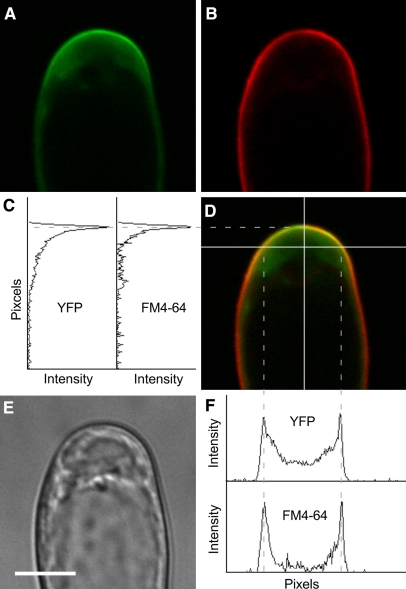 Figure 6.