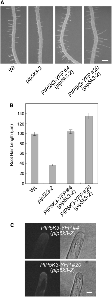 Figure 4.