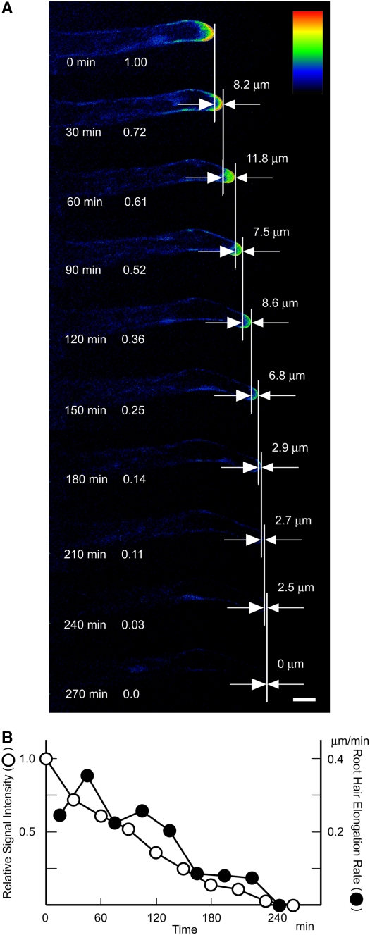 Figure 7.