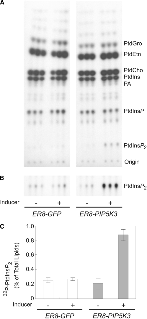 Figure 9.