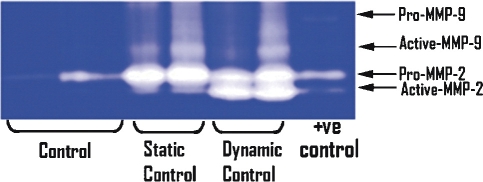 Figure 6: