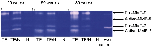 Figure 7: