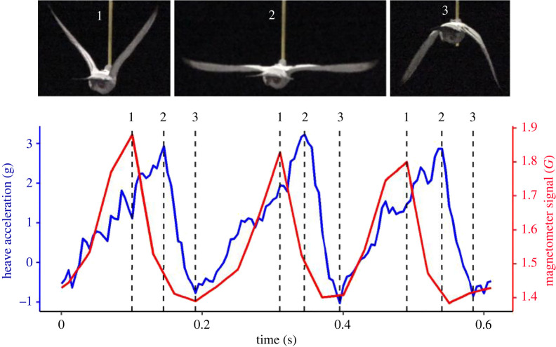 Figure 2. 