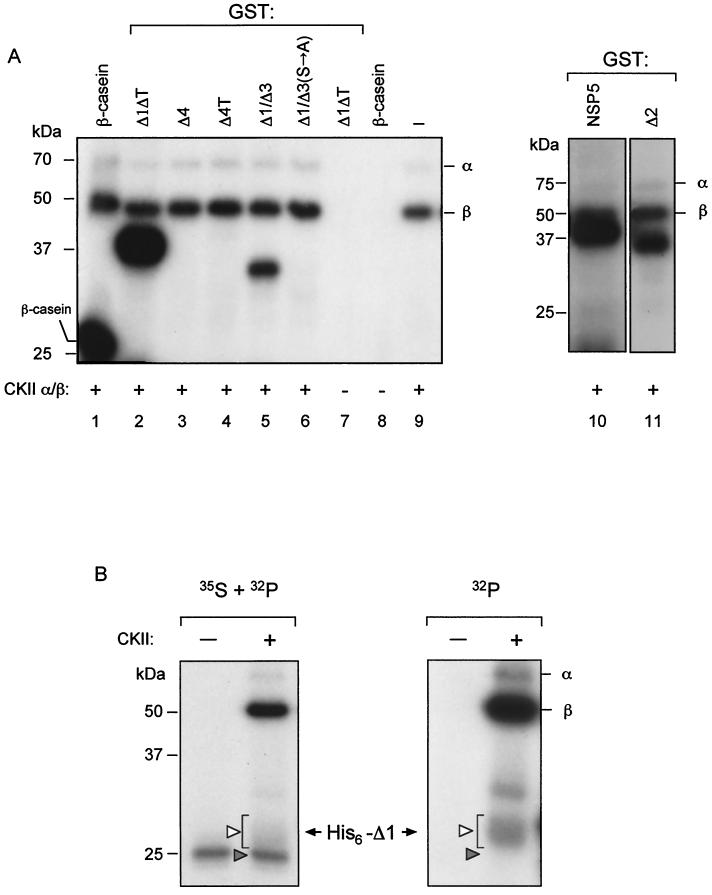 FIG. 5.