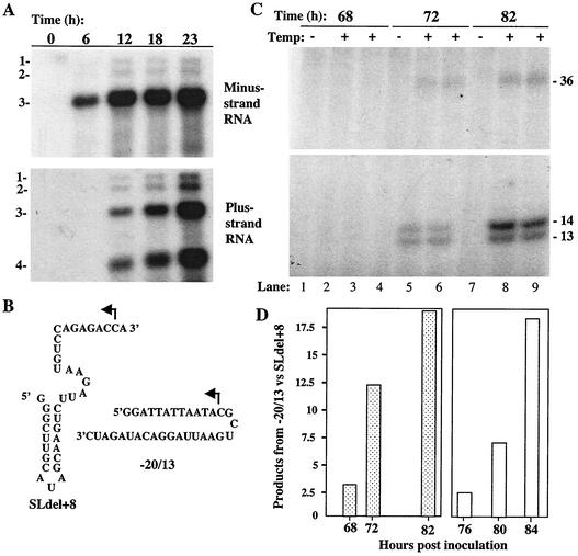 FIG. 6.