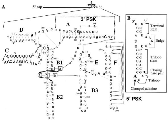 FIG. 1.