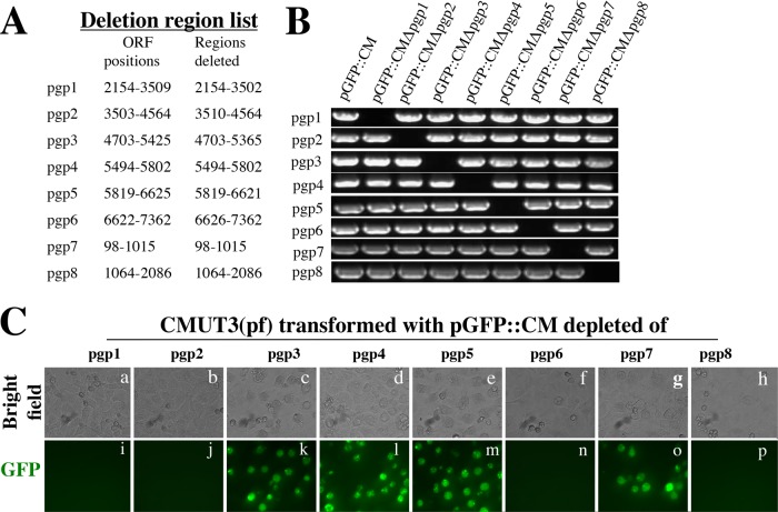 FIG 2