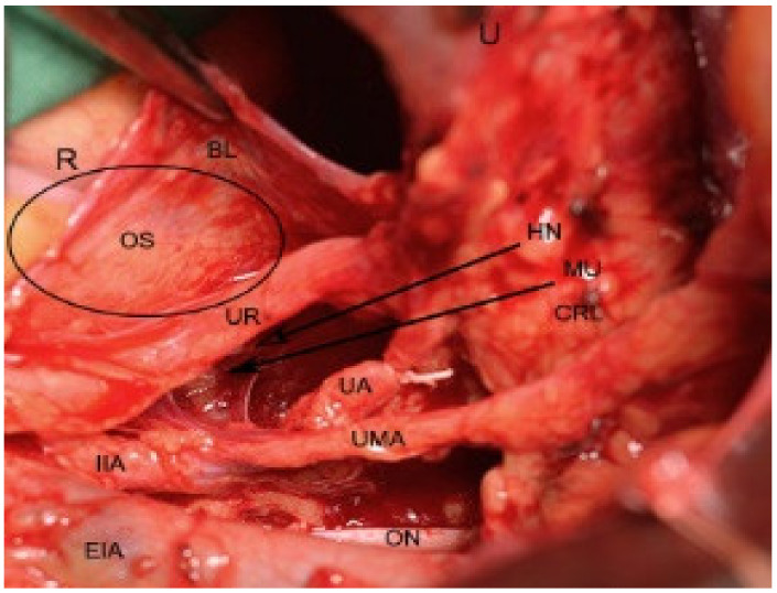 Figure 7