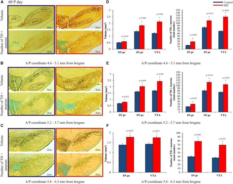 FIGURE 3