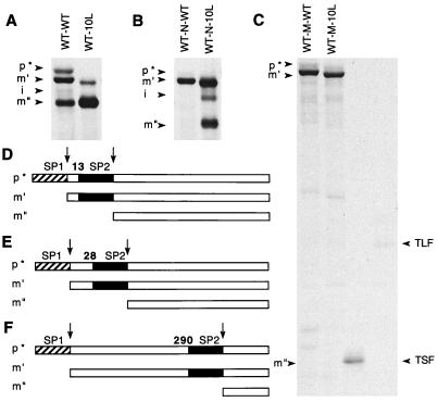 FIG. 7